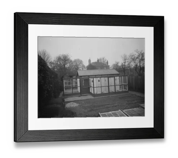 Framed Print : Mr R Woolseys bird aviary in Dartford, Kent 1937