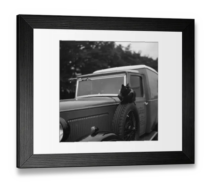 Framed Print : A cat stands watch over an Austin van in Tunbridge Wells, Kent. 1936 Framed Print : A cat stands watch over an Austin van in Tunbridge Wells, Kent. 1936
