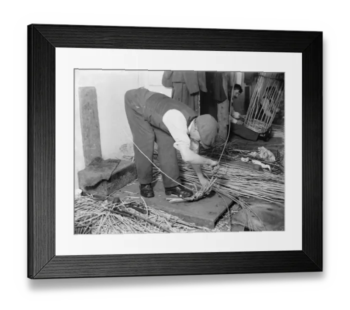 Framed Print : Basket making, Swanley. 1935 Framed Print : Basket making, Swanley. 1935