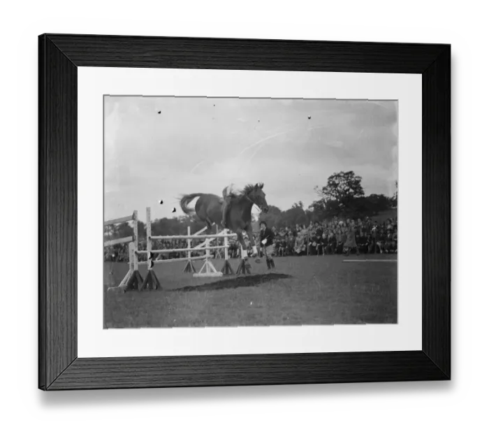 Framed Print : Horse jumping at the Bexleyheath Gala in Kent. A competitor make a jump Framed Print : Horse jumping at the Bexleyheath Gala in Kent. A competitor make a jump
