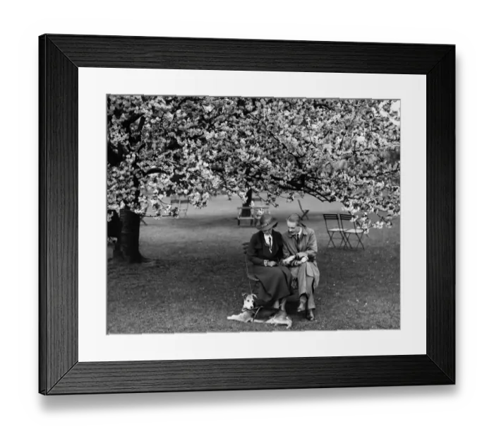 Framed Print : Enjoying the almond blossom in Kent - 1935 A TopFoto Framed Print : Enjoying the almond blossom in Kent - 1935 A TopFoto