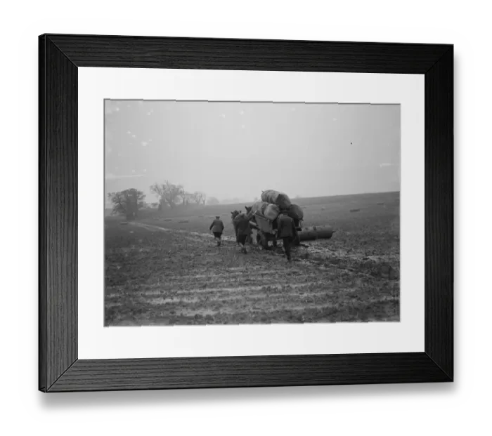 Framed Print : Sacks of surplus hops, which are to be used as manure, stacked on to a horse cart Framed Print : Sacks of surplus hops, which are to be used as manure, stacked on to a horse cart