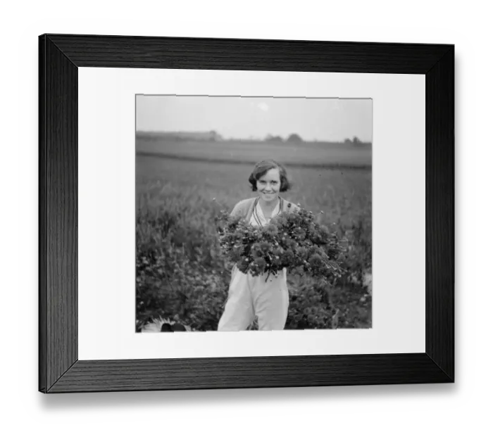 Framed Print : A girl holds a bunch of freshly picked chrysanthemums. 1935 Framed Print : A girl holds a bunch of freshly picked chrysanthemums. 1935