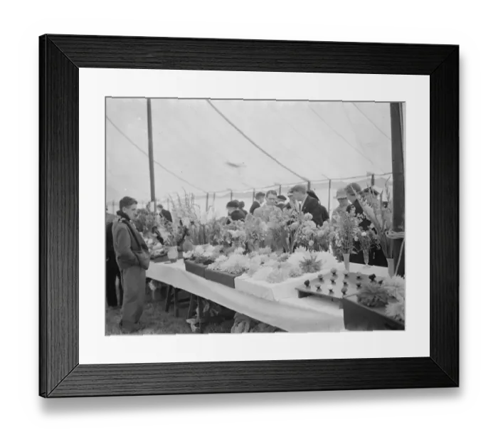 Framed Print : The Longfield Flower Show, Kent. 1938 Framed Print : The Longfield Flower Show, Kent. 1938
