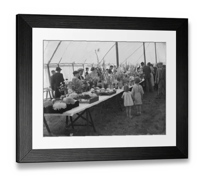 Framed Print : The Spring Flower Show at Longfields, Kent. 1939 Framed Print : The Spring Flower Show at Longfields, Kent. 1939