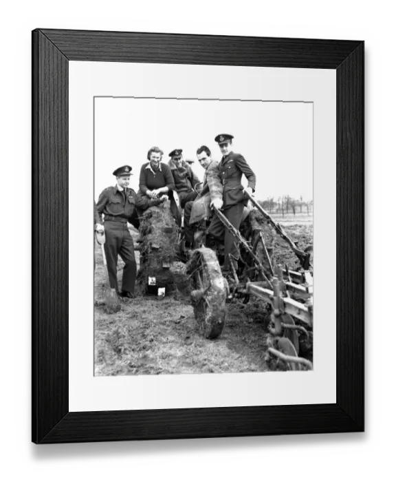 Framed Print : Home Front 1942 : Fighter Pilots based at RAF North Weald help the Land Army Framed Print : Home Front 1942 : Fighter Pilots based at RAF North Weald help the Land Army