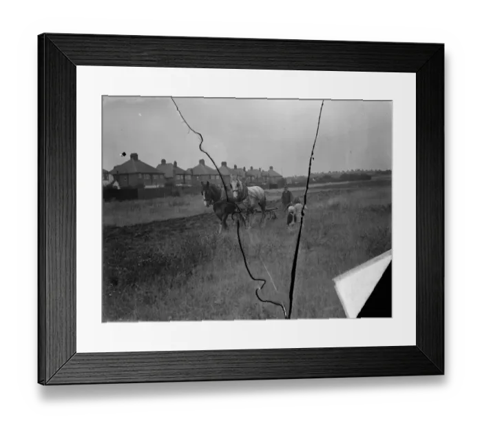 Framed Print : Children watch a farmer and his horse team ploughing a field in New Eltham, London Framed Print : Children watch a farmer and his horse team ploughing a field in New Eltham, London