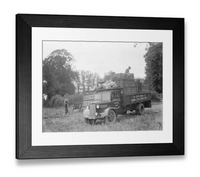 Framed Print : A bedford lorry belonging to R Foreman a grower located in Chelsfield, Kent Framed Print : A bedford lorry belonging to R Foreman a grower located in Chelsfield, Kent