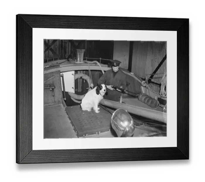 Framed Print : An armed sailor and a cocker spaniel on board a Dungeness life boat in Kent. 1939 Framed Print : An armed sailor and a cocker spaniel on board a Dungeness life boat in Kent. 1939