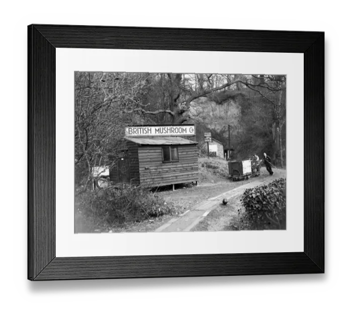 Framed Print : Mushroom caves at Chislehurst, Kent. 1934
