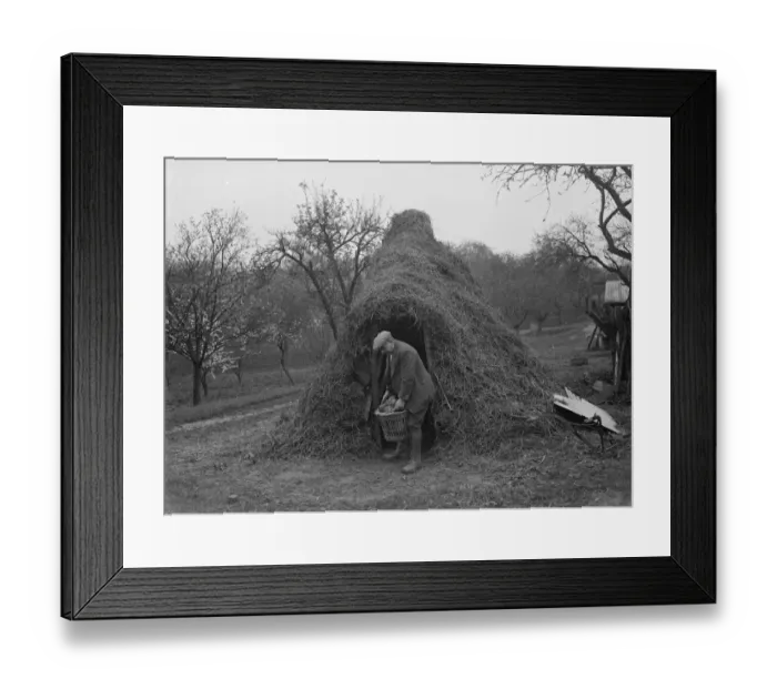 Framed Print : Charcoal burners hut, North Cray, Kent. 1935 Framed Print : Charcoal burners hut, North Cray, Kent. 1935