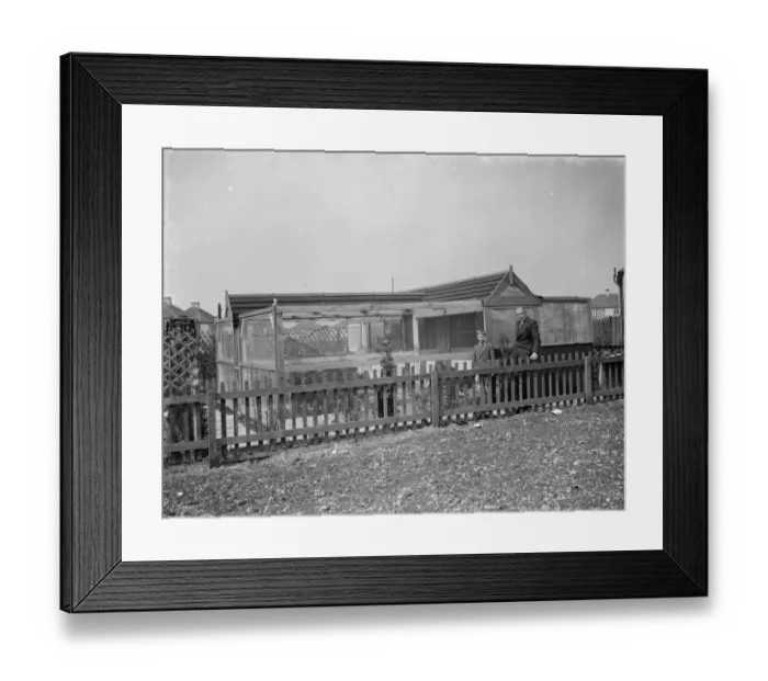 Framed Print : Mr R G Halls bird aviary at Bexleyheath, Kent. 25 March 1938