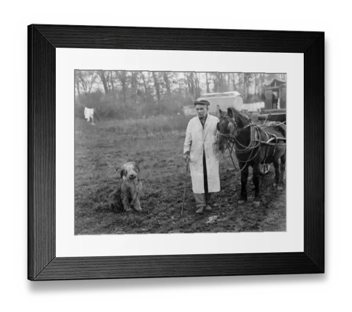 Framed Print : Mr Groombridge poses with his sheepdog next to a poney and trap. 1936 Framed Print : Mr Groombridge poses with his sheepdog next to a poney and trap. 1936