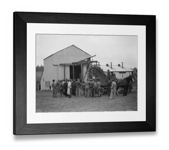 Framed Print : McConnel hinds, hop picking machine. 1937 Framed Print : McConnel hinds, hop picking machine. 1937