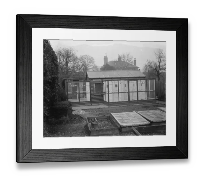 Framed Print : Mr R Woolseys bird aviary in Dartford, Kent 1937 Framed Print : Mr R Woolseys bird aviary in Dartford, Kent 1937