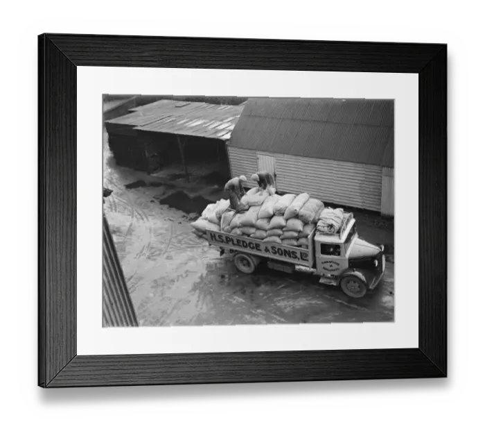 Framed Print : A Bedford truck belonging to Pledge & Son Ltd, the milling company, being loaded Framed Print : A Bedford truck belonging to Pledge & Son Ltd, the milling company, being loaded