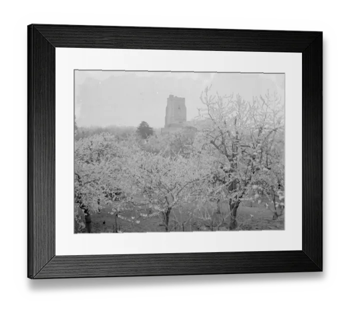 Framed Print : Newington church, Kent, see through the tree blossom. 1936 Framed Print : Newington church, Kent, see through the tree blossom. 1936