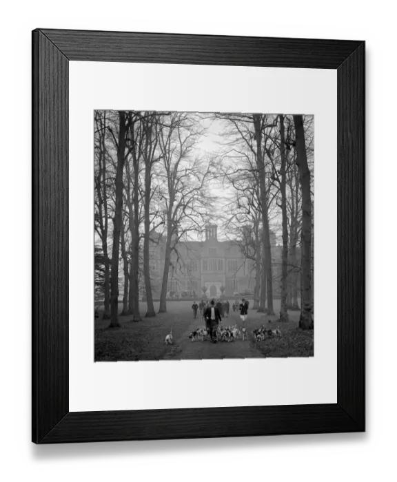 Framed Print : Beagles at Chilham Castle Canturbury Kent January 1953 Framed Print : Beagles at Chilham Castle Canturbury Kent January 1953
