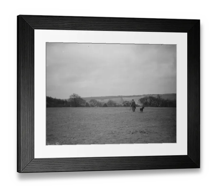 Framed Print : A farmer and his dog stands to view his fields at Preston hill farm estate Framed Print : A farmer and his dog stands to view his fields at Preston hill farm estate