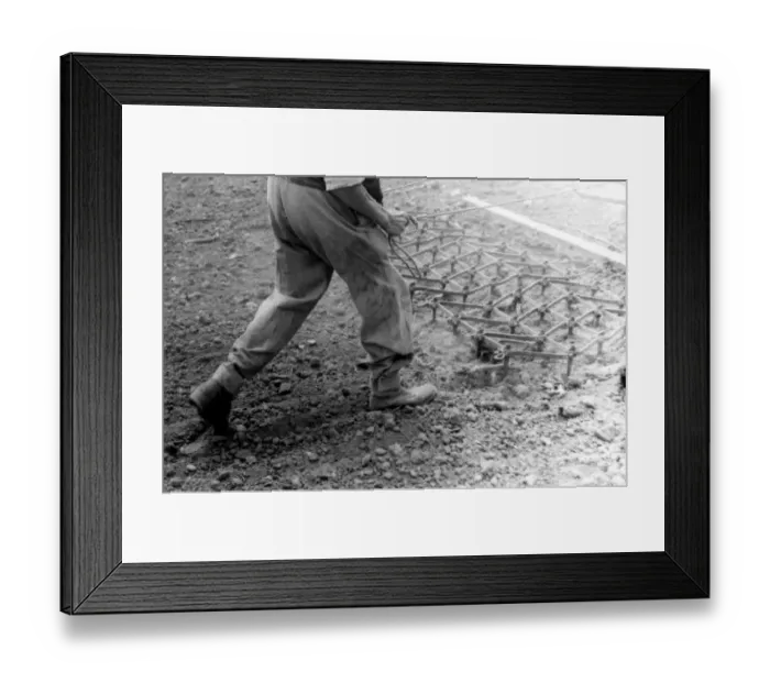 Framed Print : Horsedrawn harrow TopFoto Framed Print : Horsedrawn harrow TopFoto