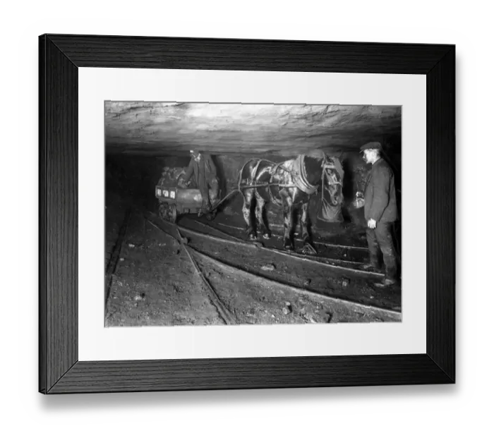 Framed Print : Coal mining with a pit pony Framed Print : Coal mining with a pit pony