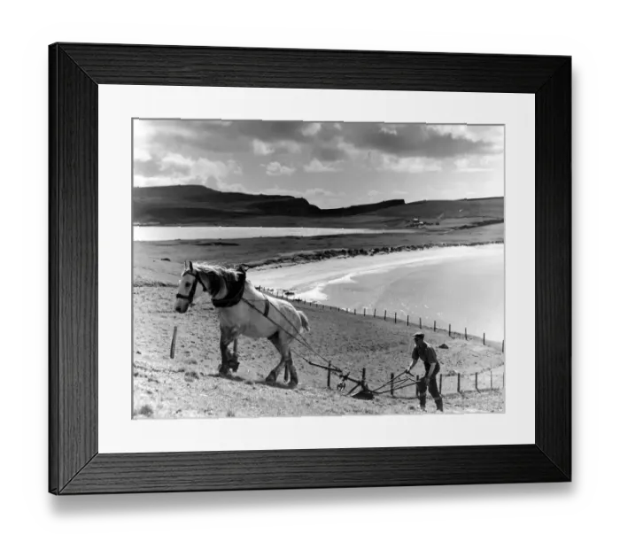Framed Print : William M Henderson, who farms a croft with his father at Coubal, Shetland, says Framed Print : William M Henderson, who farms a croft with his father at Coubal, Shetland, says