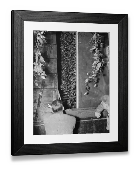 Framed Print : McConnel hinds, a picker at work on the bines. 1937 Framed Print : McConnel hinds, a picker at work on the bines. 1937