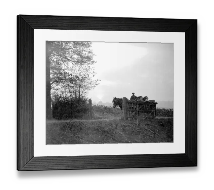 Framed Print : Farm scene. 14 November 1934