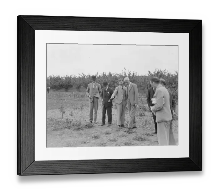 Framed Print : The Right Honourable William Shepherd Morrison, the UK Minister of Agriculture