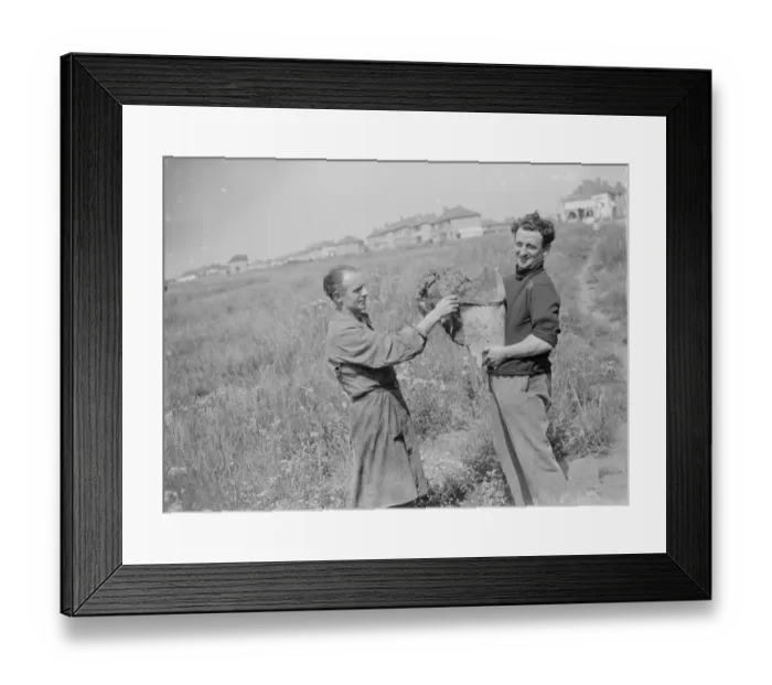Framed Print : Whale bone discovery in Sidcup, Kent. 1935 Framed Print : Whale bone discovery in Sidcup, Kent. 1935