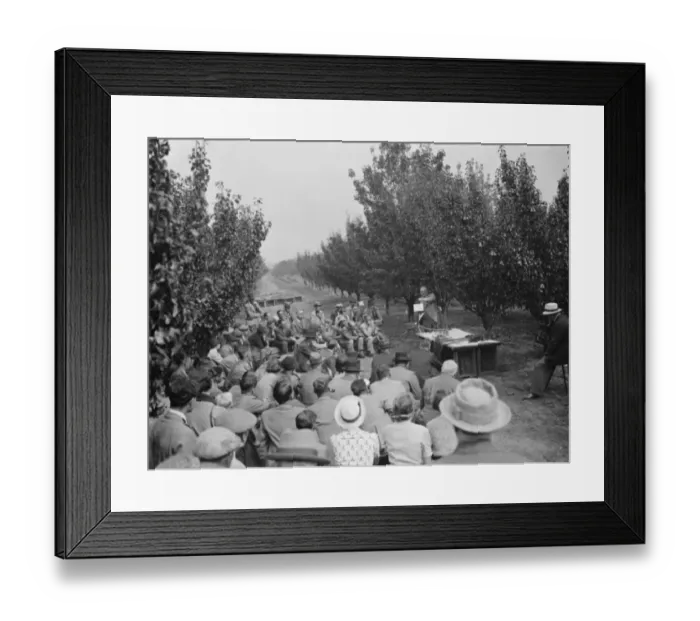 Framed Print : Dr Hatton holding an open air lecture at the East Malling Research Station open day Framed Print : Dr Hatton holding an open air lecture at the East Malling Research Station open day