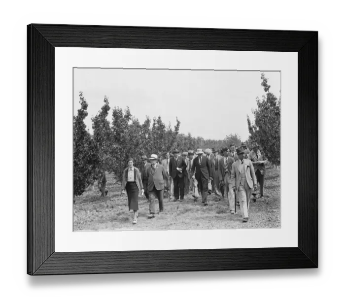 Framed Print : Showing people around at the East Malling Research Station open day in Kent. 2 Framed Print : Showing people around at the East Malling Research Station open day in Kent. 2