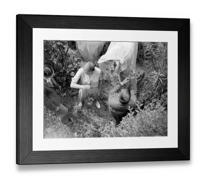 Framed Print : Butterfly Farm at Bexley, Kent. 1933