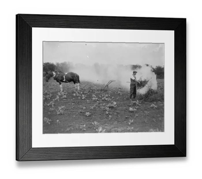 Framed Print : A farmer burning rubbish in a field 1935 Framed Print : A farmer burning rubbish in a field 1935