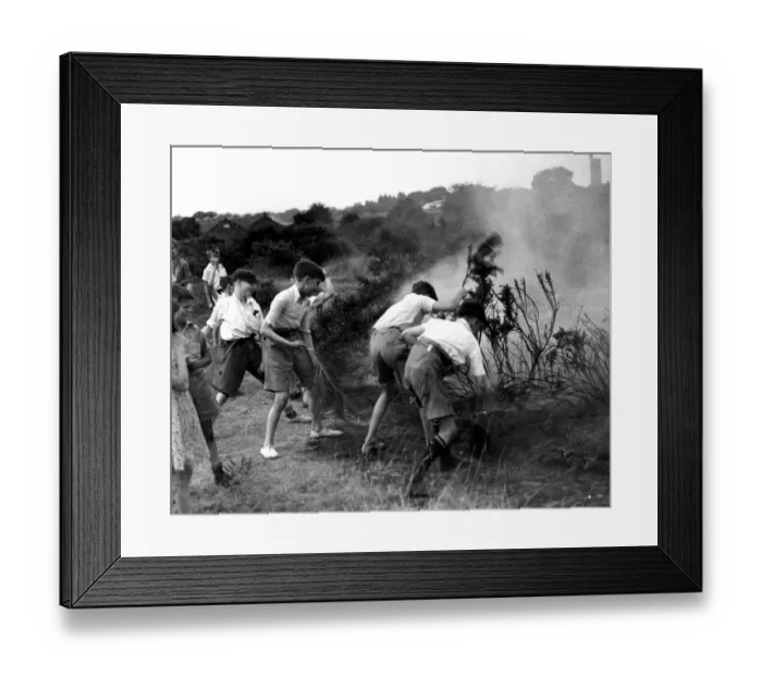 Framed Print : Youngsters helping to quell a gorse fire on Dartford Heath, Kent. 1937 Framed Print : Youngsters helping to quell a gorse fire on Dartford Heath, Kent. 1937