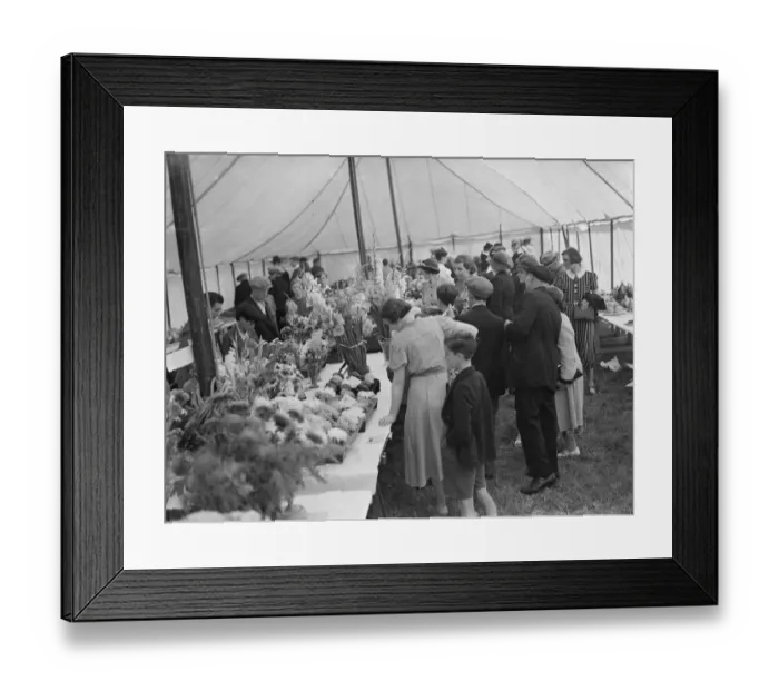 Framed Print : The Spring Flower Show at Longfields, Kent. 1939 Framed Print : The Spring Flower Show at Longfields, Kent. 1939