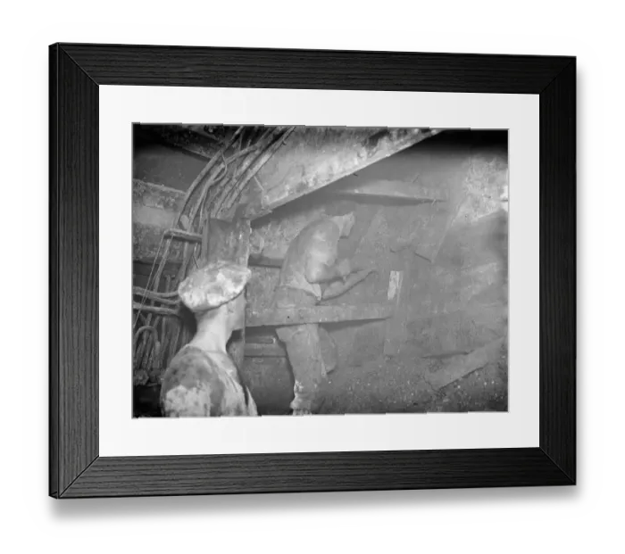 Framed Print : The construction of the Dartford Tunnel. A workmen cutting by the shield Framed Print : The construction of the Dartford Tunnel. A workmen cutting by the shield