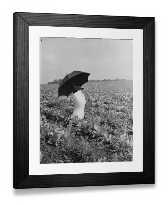 Framed Print : Scarecrow in a farmers field made from a dressmakers dummy in Swanley. 1938 Framed Print : Scarecrow in a farmers field made from a dressmakers dummy in Swanley. 1938