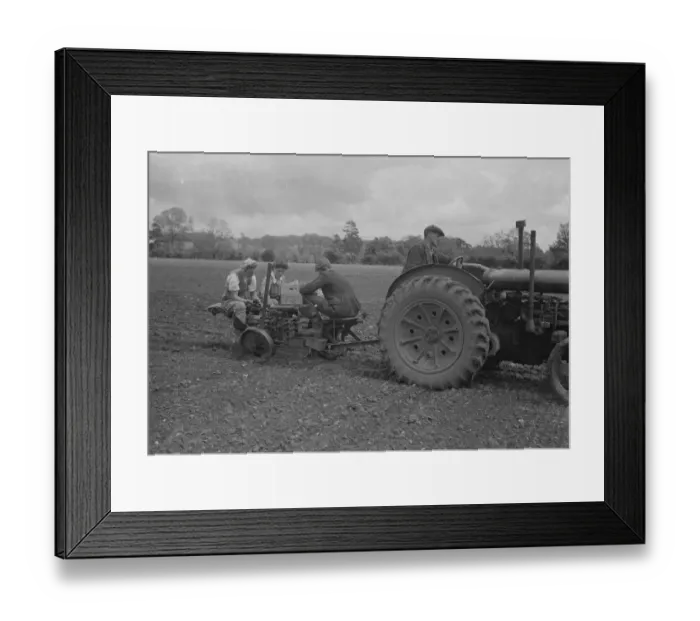 Framed Print : Farm workers using a tracter drawn Transplanters Robot Ltd crop planter