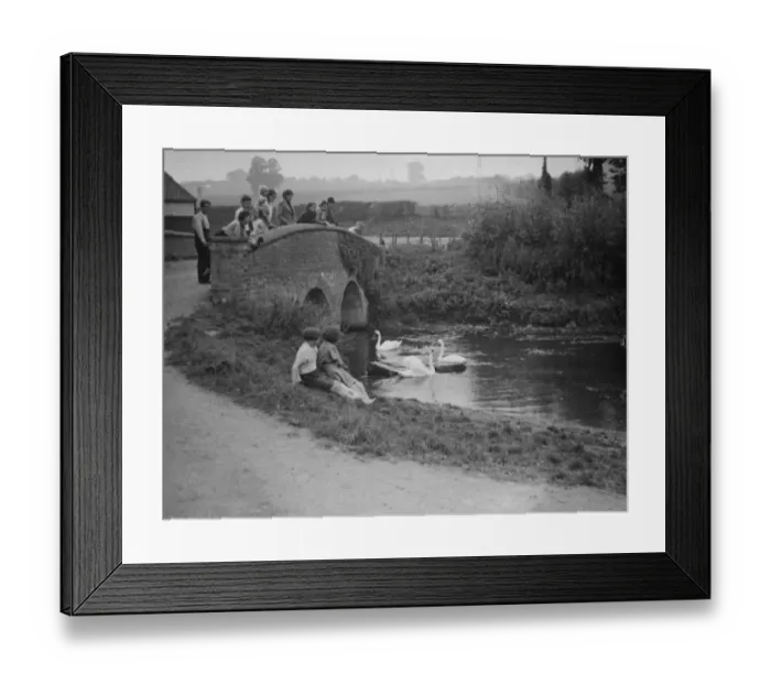 Framed Print : Hop pickers watch the swans on the river from a bridge. 1938 Framed Print : Hop pickers watch the swans on the river from a bridge. 1938
