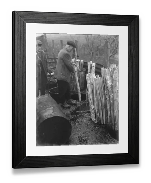 Framed Print : Hurdle making in Cuxton, Kent. Tanning the posts. 1937 Framed Print : Hurdle making in Cuxton, Kent. Tanning the posts. 1937