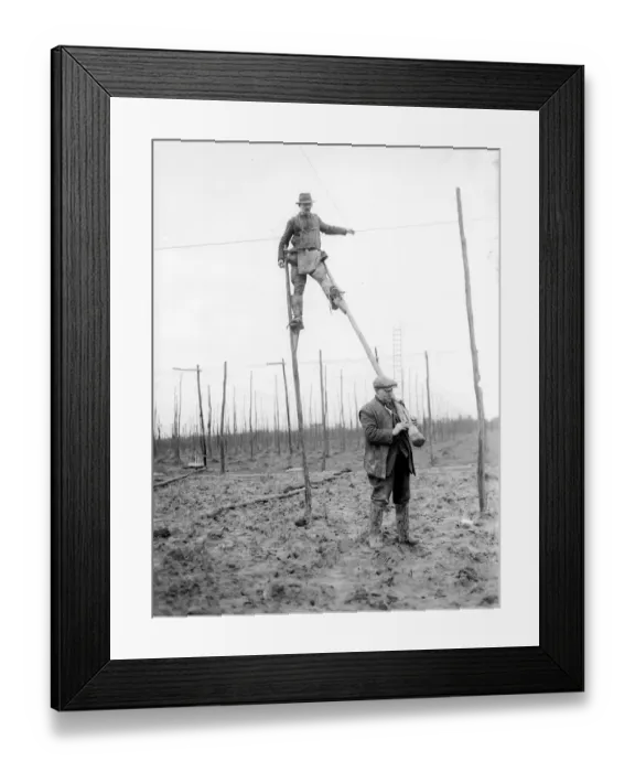 Framed Print : Skilled men walked the hopfields on huge stilts to string the hop poles Kent 1937 Framed Print : Skilled men walked the hopfields on huge stilts to string the hop poles Kent 1937