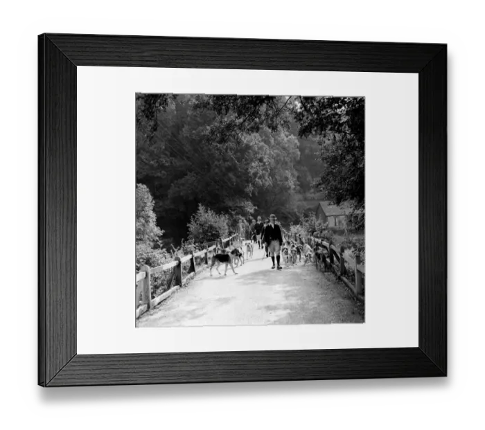 Framed Print : Walking the hounds TopFoto Framed Print : Walking the hounds TopFoto
