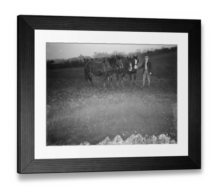 Framed Print : A farmer with a team of horses examine the site where subsidence has taken place Framed Print : A farmer with a team of horses examine the site where subsidence has taken place