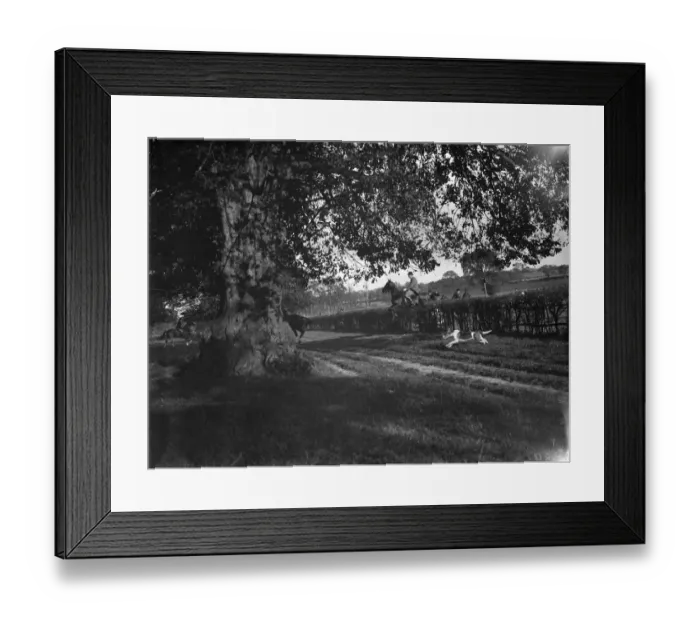Framed Print : Jumping hedge. 1935