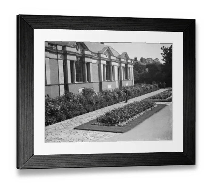 Framed Print : Dahlia beds at Dartford Central Park. 1936