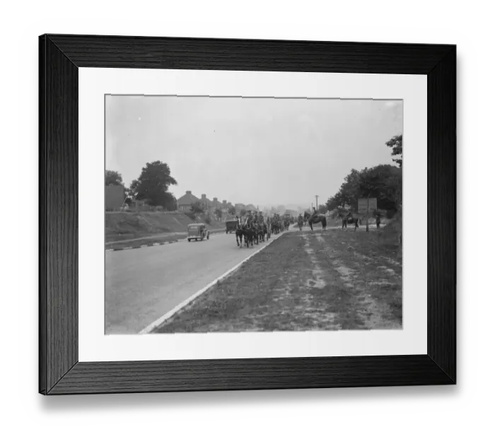 Framed Print : Army manoeuvers in Orpingon, Kent. Horses draw artillery pieces Framed Print : Army manoeuvers in Orpingon, Kent. Horses draw artillery pieces
