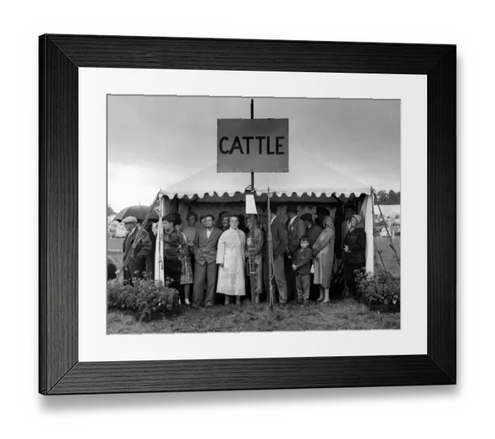 Framed Print : Kent. Edenbridge Agricultural Show. August 1960 Visitors sheltering from the rain Framed Print : Kent. Edenbridge Agricultural Show. August 1960 Visitors sheltering from the rain