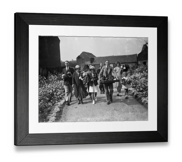 Framed Print : Exhibitors arriving with their produce a t the Lamorbey horticultural show, Kent Framed Print : Exhibitors arriving with their produce a t the Lamorbey horticultural show, Kent