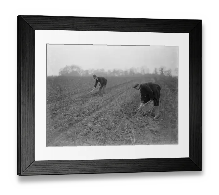 Framed Print : Hoe. 1935. Hoe.. 1935 Framed Print : Hoe. 1935. Hoe.. 1935